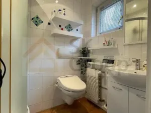 Pronájem atypického bytu, Karlovy Vary, 120 m2