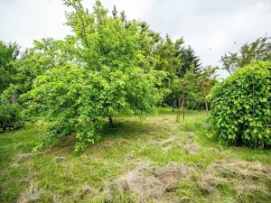 Prodej pozemku pro bydlení, Ráječko, Nová, 651 m2