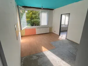 Prodej bytu 1+1, Písek - Budějovické Předměstí, třída Přátelství, 42 m2