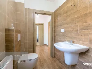 Prodej rodinného domu, Starý Plzenec, V Kolonii, 164 m2