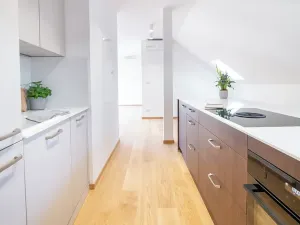 Pronájem bytu 3+kk, Praha - Žižkov, Jeronýmova, 104 m2