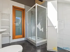 Prodej bytu 2+kk, Praha - Staré Město, U Dobřenských, 64 m2