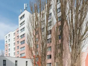 Pronájem bytu 1+1, Plzeň, Kreuzmannova, 46 m2