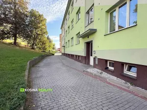 Pronájem bytu 2+1, Habartov, Okružní, 57 m2