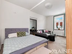 Prodej bytu 1+1, Plzeň, Nad Týncem, 49 m2