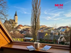 Pronájem bytu 1+kk, Příbor, nábřeží Rudoarmějců, 20 m2