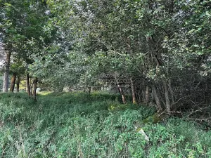 Prodej pozemku pro bydlení, Nová Ves, 4929 m2