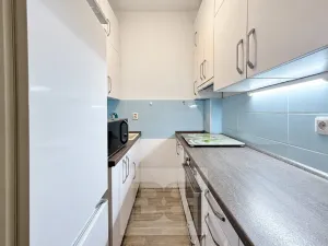 Pronájem bytu 2+1, Praha - Nusle, Spolupráce, 47 m2