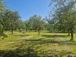Prodej rodinného domu, Oprostovice, 330 m2