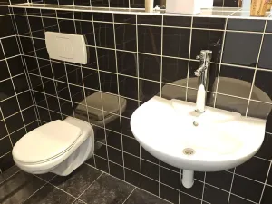 Pronájem bytu 1+kk, Hranice, Masarykovo náměstí, 60 m2