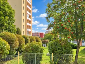 Prodej bytu 2+1, Příbram - Příbram VII, Jana Drdy, 52 m2
