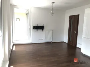Pronájem bytu 2+kk, Praha - Žižkov, Olgy Havlové, 47 m2