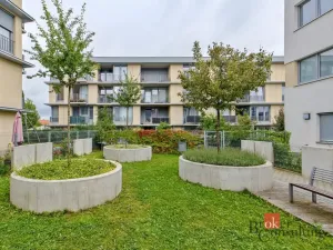 Pronájem bytu 2+kk, Praha - Žižkov, Olgy Havlové, 47 m2