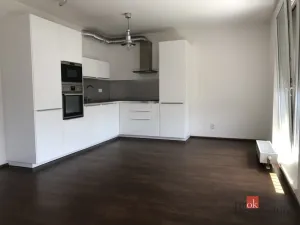 Pronájem bytu 2+kk, Praha - Žižkov, Olgy Havlové, 48 m2