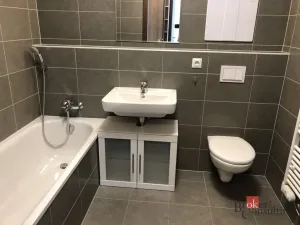 Pronájem bytu 2+kk, Praha - Žižkov, Olgy Havlové, 48 m2