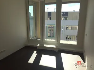 Pronájem bytu 2+kk, Praha - Žižkov, Olgy Havlové, 48 m2