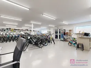 Prodej obchodního prostoru, Březí, Hlavní, 639 m2