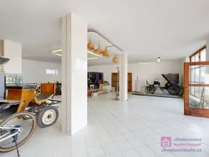Prodej obchodního prostoru, Březí, Hlavní, 639 m2