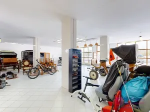 Prodej obchodního prostoru, Březí, Hlavní, 639 m2