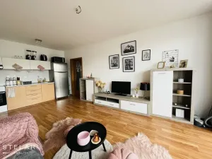 Pronájem bytu 2+kk, Opava, Hálkova, 61 m2