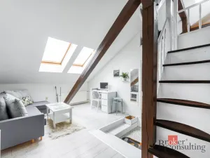 Pronájem bytu 1+kk, Praha - Nové Město, Vladislavova, 26 m2