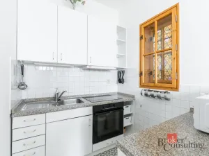 Pronájem bytu 1+kk, Praha - Nové Město, Vladislavova, 26 m2