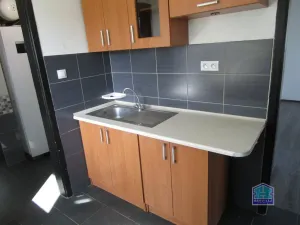 Pronájem rodinného domu, Bor, Finská, 71 m2