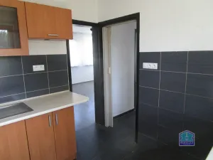 Pronájem rodinného domu, Bor, Finská, 71 m2