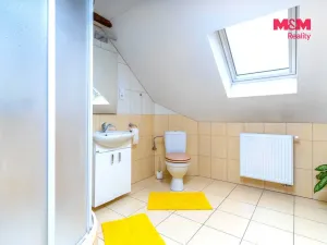 Prodej rodinného domu, Opočnice, 151 m2