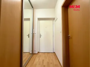 Pronájem bytu 2+kk, Brandýs nad Labem-Stará Boleslav, U Rokle, 50 m2