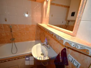 Prodej bytu 2+1, Malovice, 54 m2