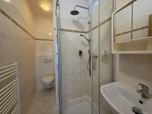 Pronájem bytu 2+kk, Plzeň, Malesická, 42 m2