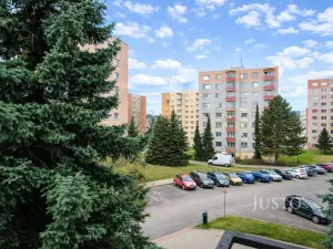 Pronájem bytu 1+1, Písek - Budějovické Předměstí, třída Přátelství, 38 m2