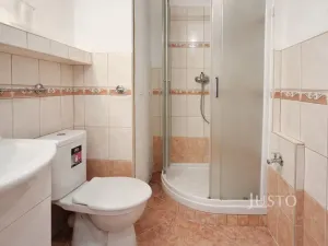 Pronájem bytu 1+1, Písek - Budějovické Předměstí, třída Přátelství, 38 m2
