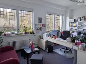 Pronájem kanceláře, Teplice, Novosedlická, 36 m2
