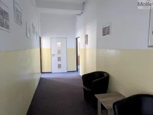 Pronájem kanceláře, Teplice, Novosedlická, 36 m2