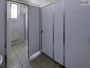 Pronájem kanceláře, Teplice, Novosedlická, 36 m2