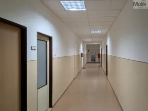 Pronájem kanceláře, Teplice, Novosedlická, 36 m2