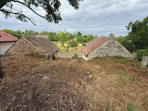 Prodej vinného sklepa, Novosedly, 136 m2