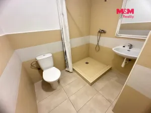 Pronájem rodinného domu, Dobrovice, Komenského, 16 m2