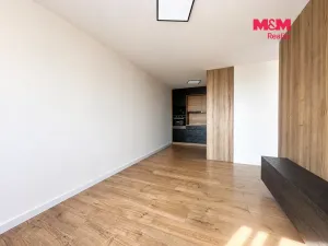 Pronájem bytu 2+kk, Most, Albrechtická, 40 m2