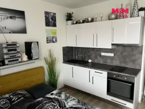 Prodej bytu 1+kk, Plzeň, Kollárova, 42 m2
