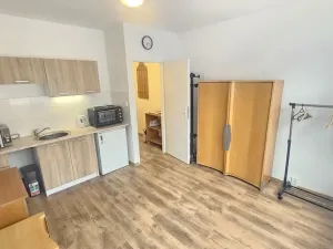 Pronájem bytu 1+kk, Ústí nad Labem - Severní Terasa, Pod Parkem, 19 m2