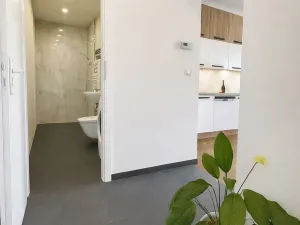 Pronájem bytu 2+kk, Praha - Žižkov, U kněžské louky, 80 m2