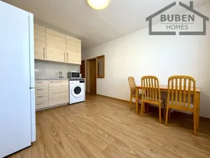 Pronájem bytu 1+1, Bor, Borská, 39 m2