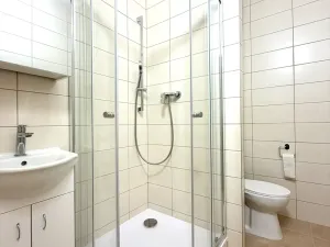 Pronájem bytu 1+1, Bor, Borská, 39 m2