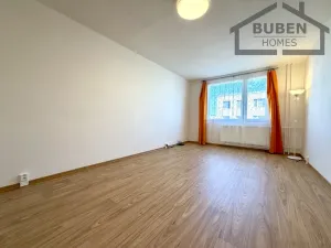 Pronájem bytu 1+1, Bor, Borská, 39 m2
