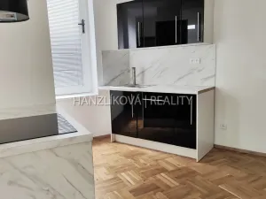 Pronájem bytu 3+kk, České Budějovice - České Budějovice 3, Skuherského, 105 m2