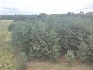 Prodej pozemku, Bechlín - Předonín, 15382 m2