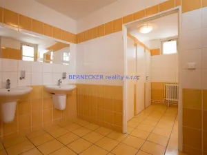 Pronájem kanceláře, Hradec Králové - Slezské Předměstí, Bieblova, 17 m2